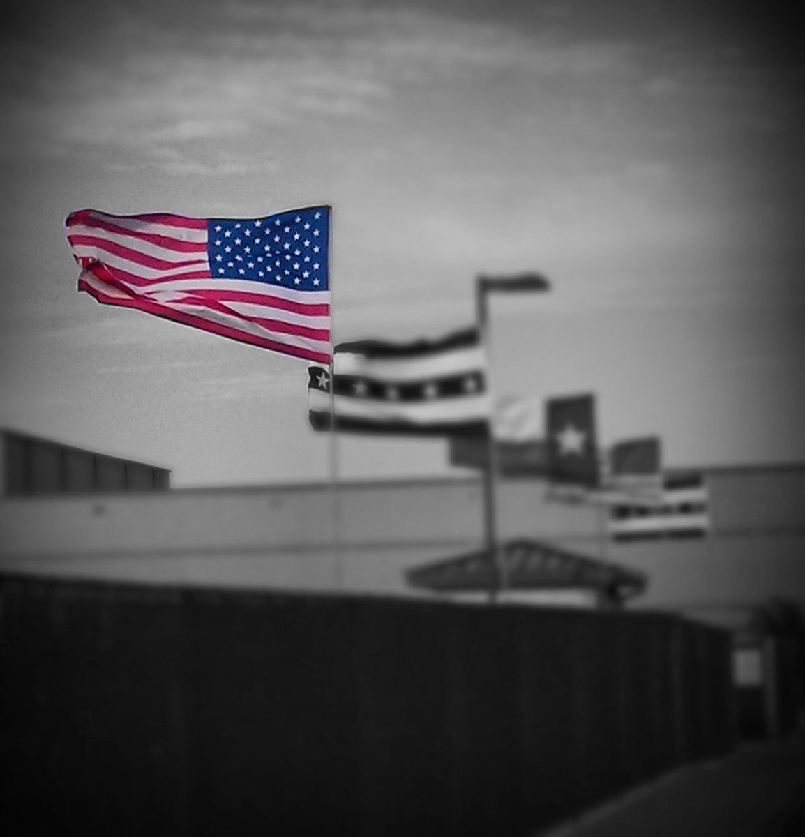 GHDSES's tweet photo. 🇺🇸 Today, we remember and honor the brave men and women who made the ultimate sacrifice for our freedom. 🇺🇸 

#MemorialDay #HonorAndRemember #ThankYou https://t.co/xv1d5fAzco