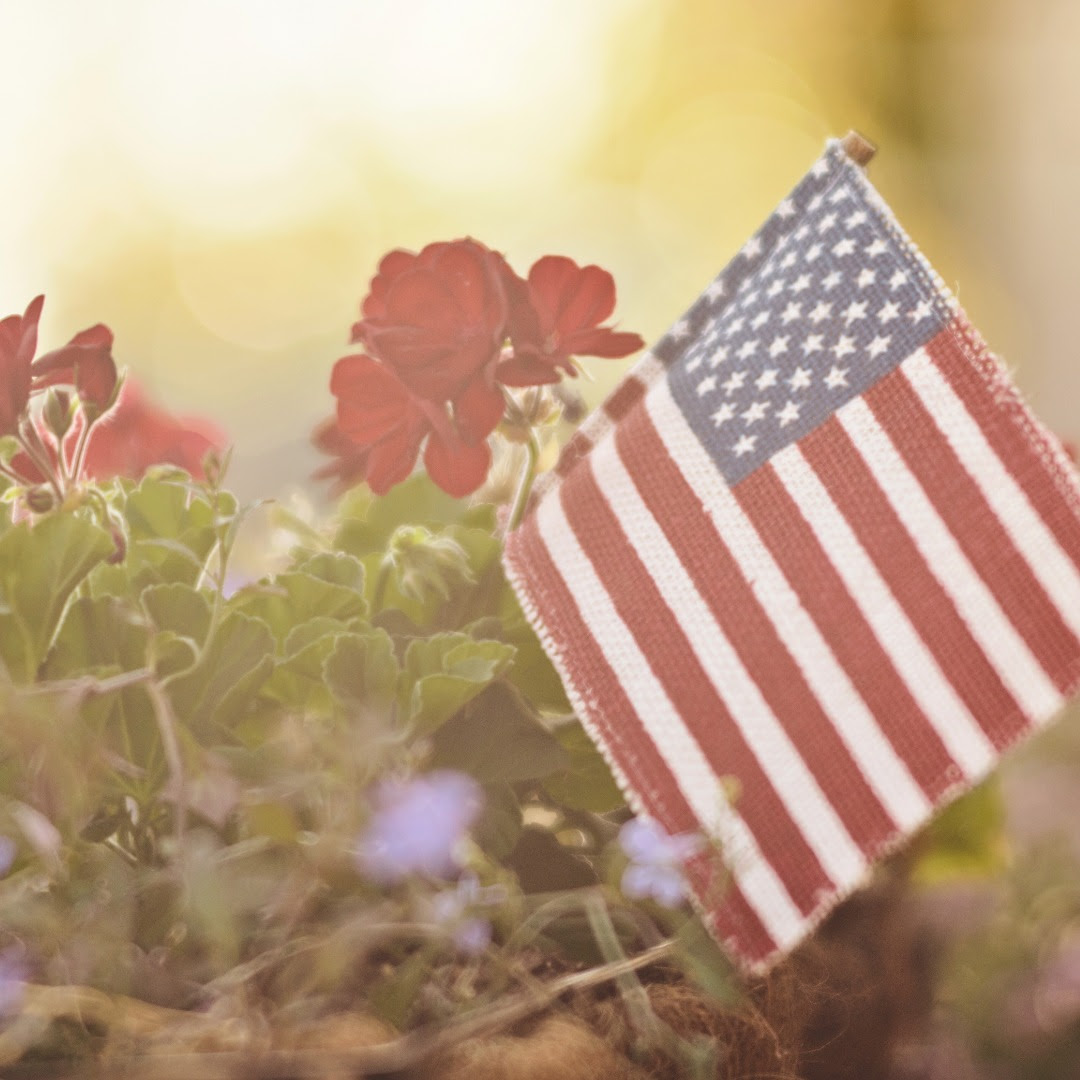 debbierosas's tweet photo. A humble token of our appreciation, we are offering free access to Nia On Demand with no limitations or exceptions to active military, veterans, and their families. Wishing everyone a meaningful and reflective Memorial Day. @niatechnique @debbierosas

https://t.co/BeVlnMVn3W... https://t.co/2Nm3T9jYCC