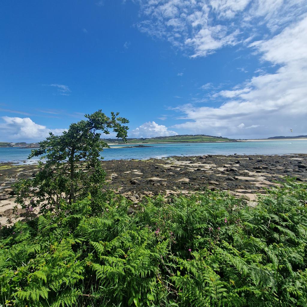 andycbigguy's tweet photo. On board the Scillonian III, rocking n'rolling back to Penzance from the IoS. Stayed at the @Tregarthens on St Mary's where great food was served, plus trips to islands of Tresco, St Martin's &amp; Bryher. Back to Cornwall next week with USA clients touring all things proper Cornish! https://t.co/COLCOljzUP