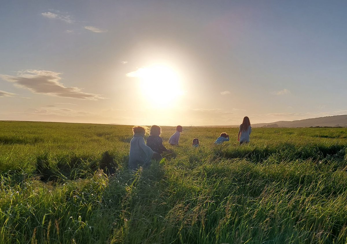 First walk in the Summer Walks programme. Fantastic photos Kathy Grogan Learning Wild, thank you. Join Kathy on Thursday for a Rockpool Rummage in Bembridge eventbrite.co.uk/e/rockpool-rum…

#isleofwightnl #isleofwightnlwalks #naturewalks #walking #isleofwight #nationallandscapes