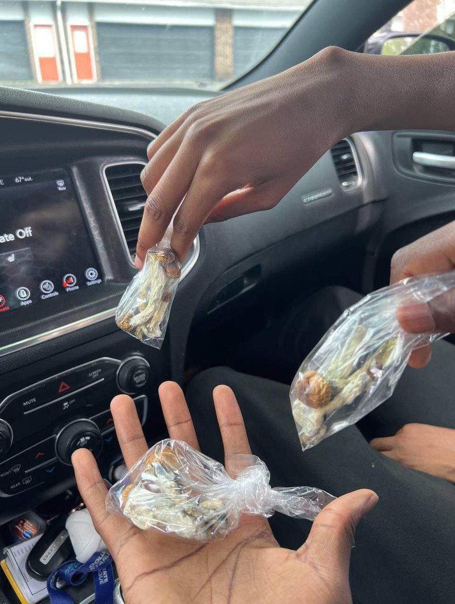 THOMOS DERICK tweet media