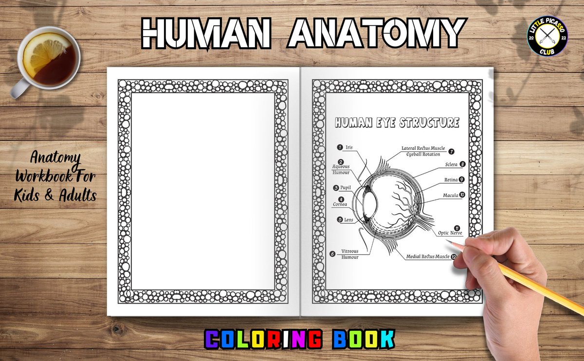 picassosco81998's tweet photo. #Art #Creativity #KidsArt #ColoringBooks #LittlePicassoClub #AmazonBooks #ArtisticEnjoyment #CreativeKids #ColoringMagic #ShopNow
โจ Join Us & Discover The Magic of Coloring. โจ
๐ Shop on Amazon โก๏ธ https://t.co/xuQNnqcZVL https://t.co/bxFfCfxW2r