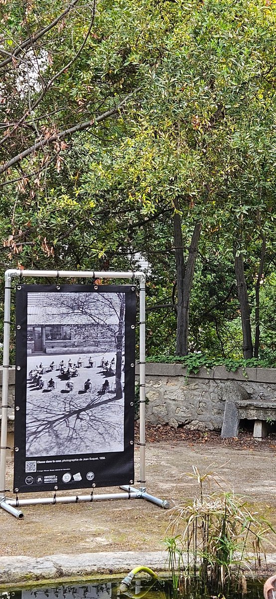 Faculté d'Éducation de l'Université de Montpellier tweet media