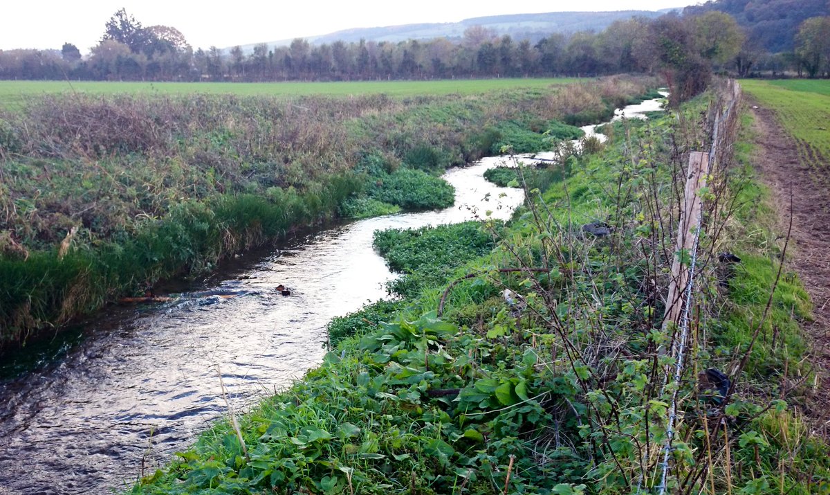 @RussellB1ggs @leanahosea @GaywoodRiver @Feargal_Sharkey @joe_crowley @jaowallace @UnderwaterMedia @WATERSHED_i @adamvaughan_uk @BBCNorfolk @NorfolkWT @N_Rivers_Trust @BylinesEast @The_WMA 10yrs ago I delivered a project on a similar channel in Somerset, using woody metal to deliberately encourage vegetation growth and encroachment, narrowing and re-meandering the channel. It was designed to improve scour and REDUCE flood risk. It worked!