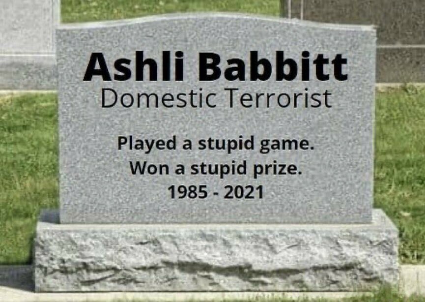 Ashli Babbitt was a traitor to the United States of America. Justice was served.
