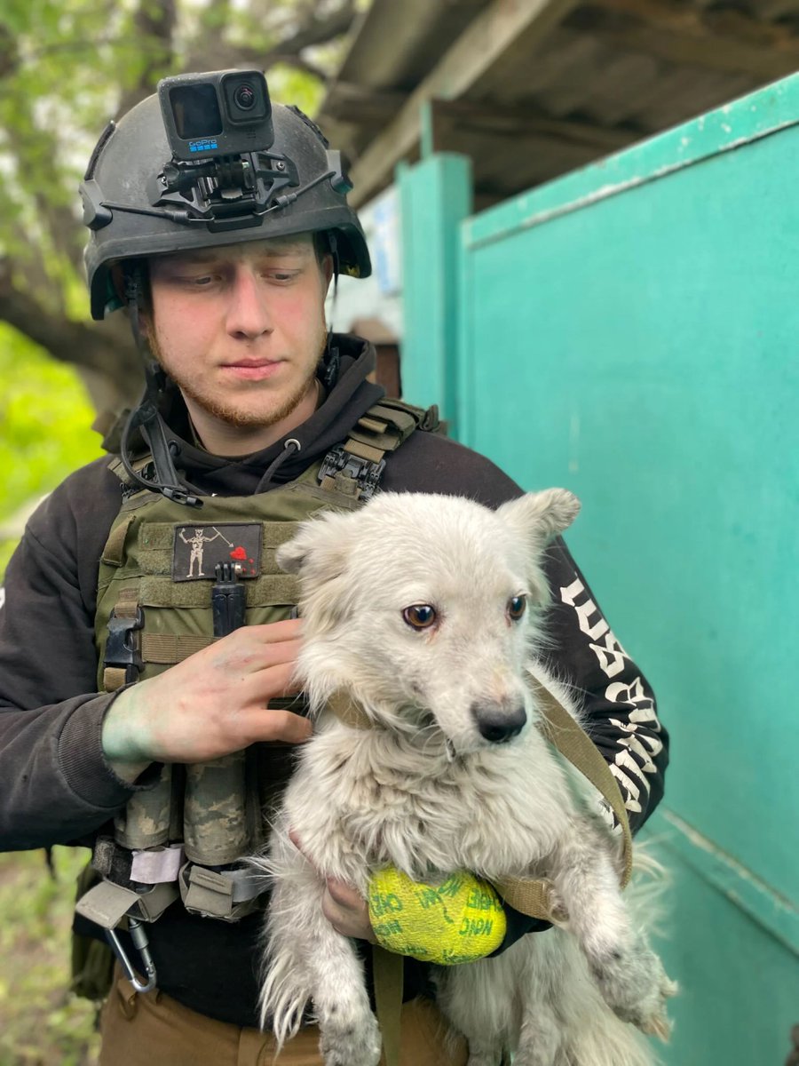 🚨EXCLUSIF : des opérations de sauvetage d’animaux en cours dans la zone de guerre de Kharkiv, en Ukraine. Les équipes de secours soutenues par PETA en pleine évacuation – soutenez-les : petafr.vg/2b7