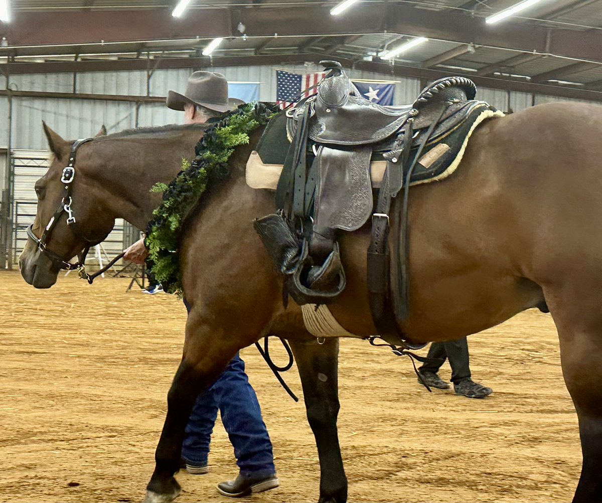 Riderless horse. Annual Memorial Day Ceremony. Collin County.
