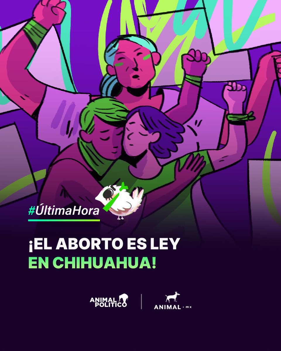 🟢 #ÚltimaHora | ¡Es ley en Chihuahua! Tribunal Colegiado ordena que la Secretaría de Salud del Estado brinde inmediatamente servicios de aborto voluntario hasta la semana 12.6.