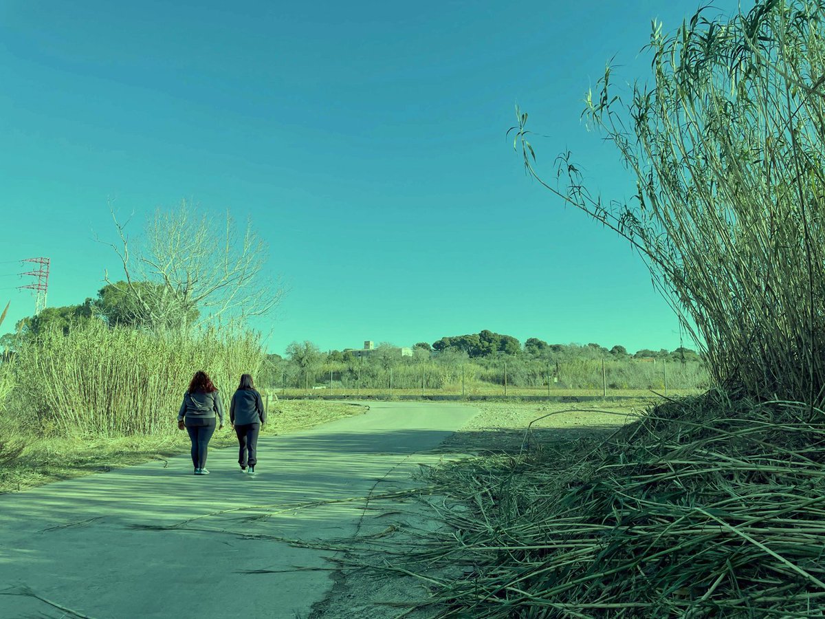 1. La Resu i la Tecla son dues veïnes de Torreforta que surten a caminar dos dies per setmana per a fer salut i xerrar una estona. L’última de les seves sortides, però, s’assembla més a un malson que a un passeig d’amigues. #zonaverge