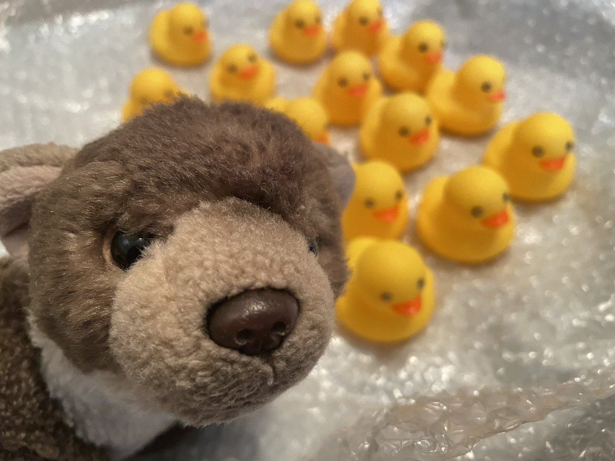 Quackers! 🦆🫧
