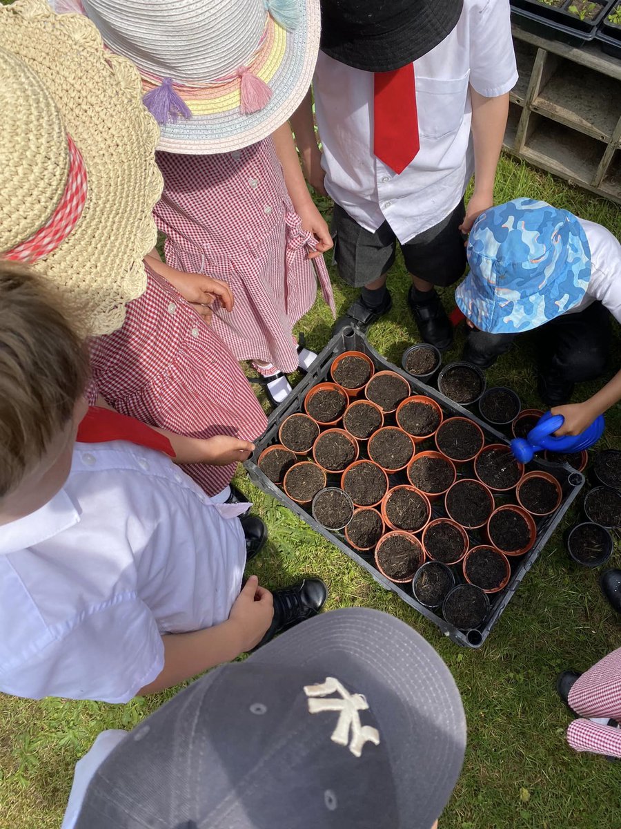 countdown to <a href="/Greenhustlefest/">Green Hustle</a> ! we’ve partnered with <a href="/UniofNottingham/">Uni of Nottingham #WeAreUoN</a> to build an edible garden in nottingham’s old market square for one day only, this saturday 1st june. come and say hello 👋 #greenthumbsup  honeybeefarmacy.com/greenthumbsup