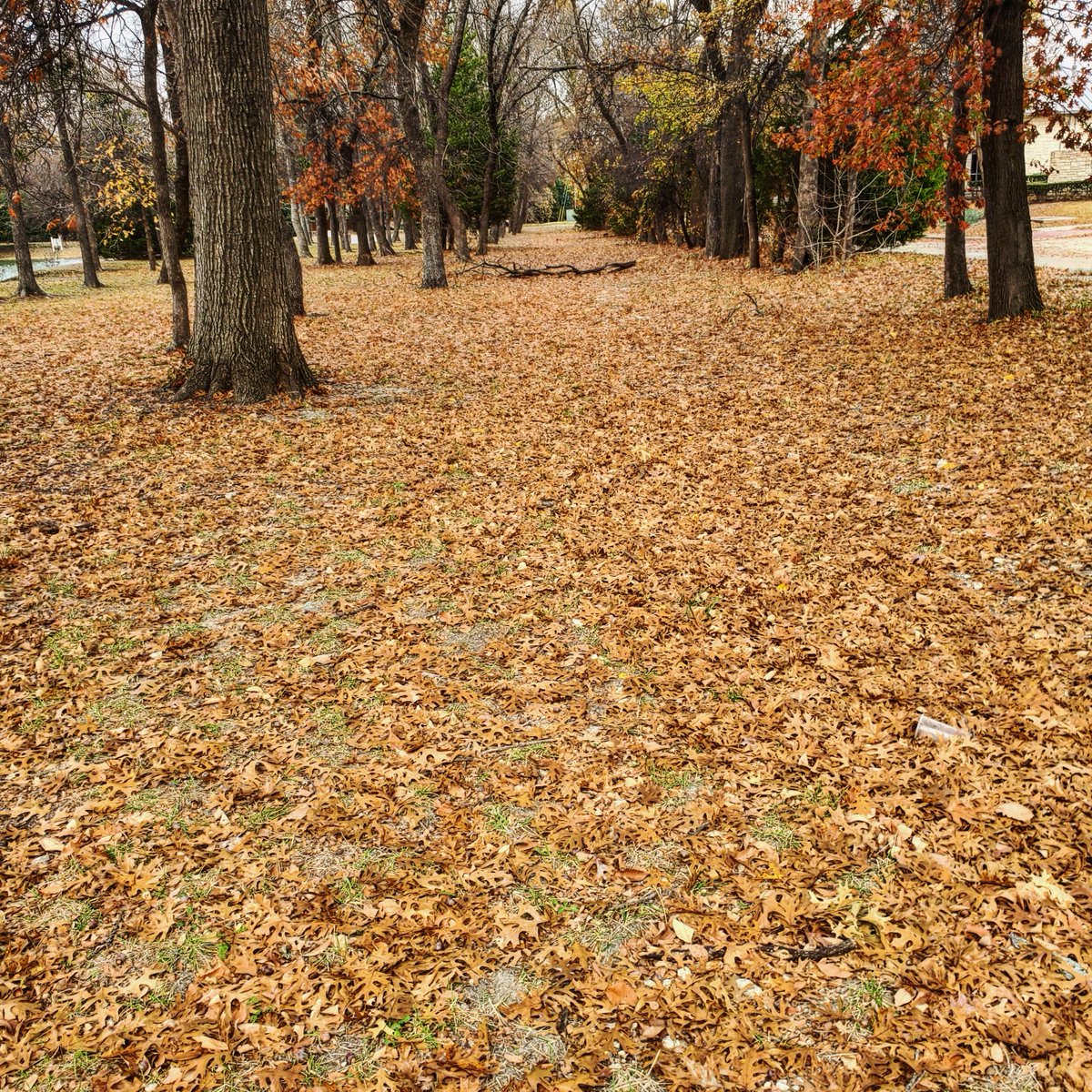 RIP Bill Walton.  Greatness.  Peace on your journey.