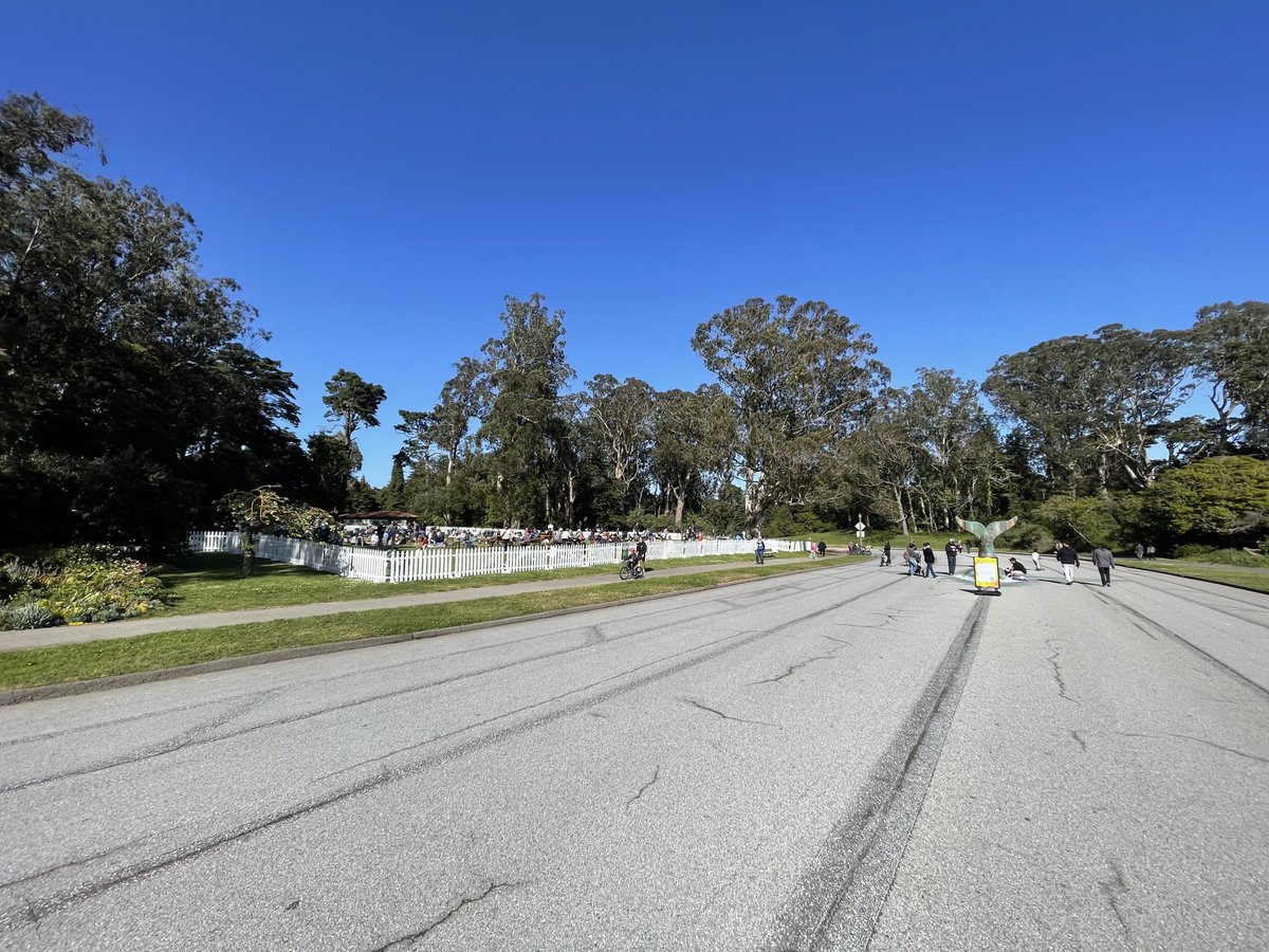 Luke Bornheimer (Streets Forward) tweet media
