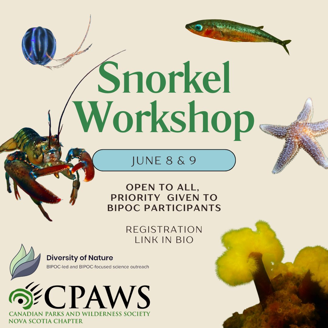 Suchinta Arif (@arifsuchinta) on Twitter photo Register for this *free* and immersive snorkelling expedition. Come explore the Atlantic Ocean and its marine life first hand! Sign up at: diversityofnature.com/signup
<a href="/CPAWSnovascotia/">CPAWS Nova Scotia</a> <a href="/DiversityofNat/">Diversity of Nature</a> <a href="/belostomatid/">Hunter Stevens</a> <a href="/ZoTabs/">Zoya Tyabji</a> Register for this *free* and immersive snorkelling expedition. Come explore the Atlantic Ocean and its marine life first hand! Sign up at: diversityofnature.com/signup
<a href="/CPAWSnovascotia/">CPAWS Nova Scotia</a> <a href="/DiversityofNat/">Diversity of Nature</a> <a href="/belostomatid/">Hunter Stevens</a> <a href="/ZoTabs/">Zoya Tyabji</a>
