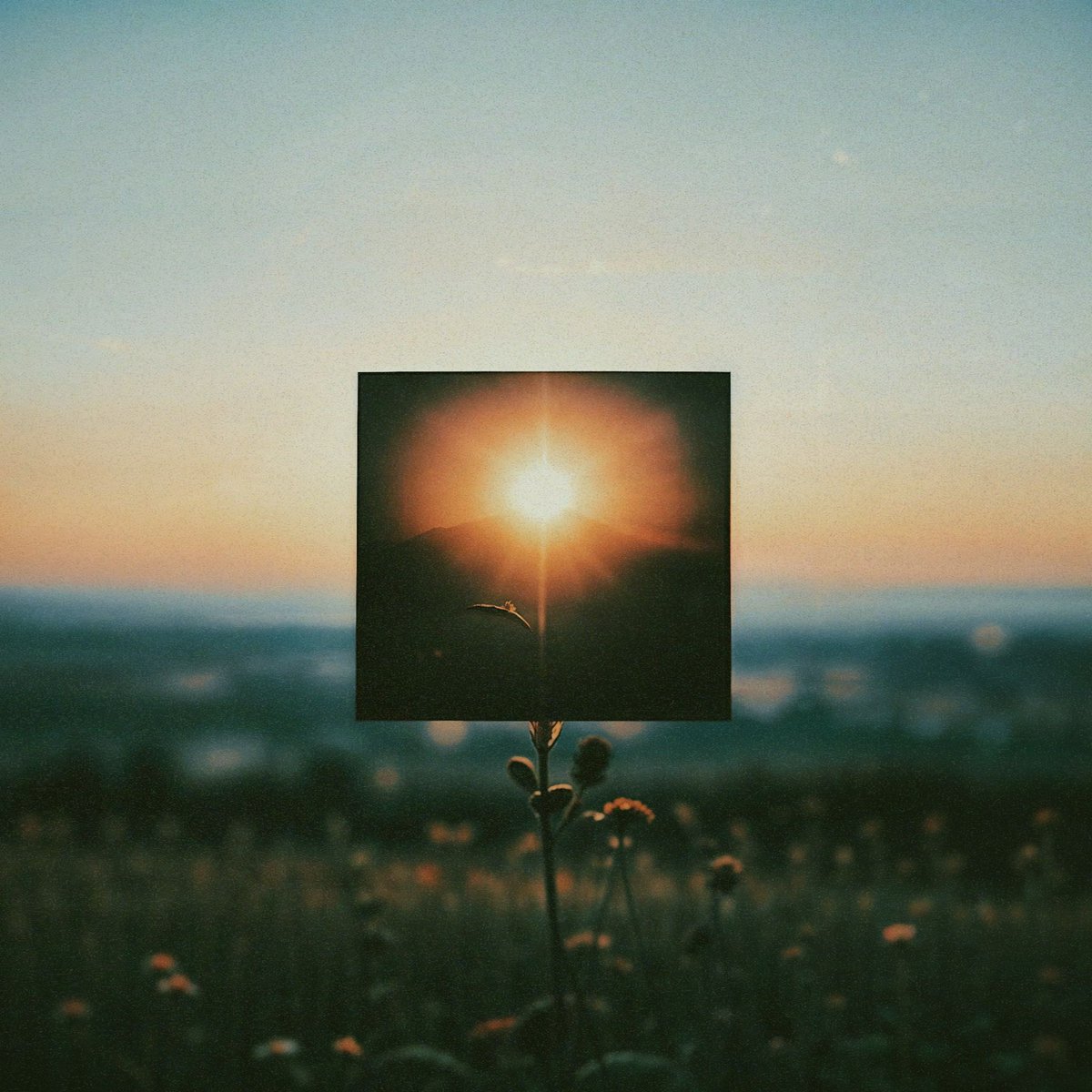 johan__studio's tweet image. faraway, so close 1