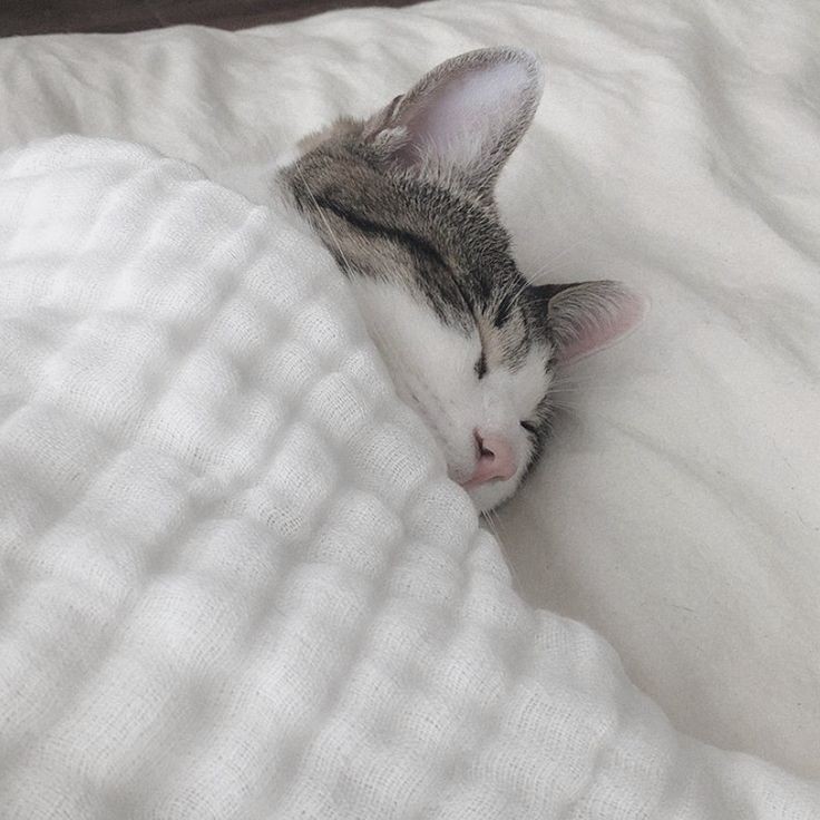 Good night 😴