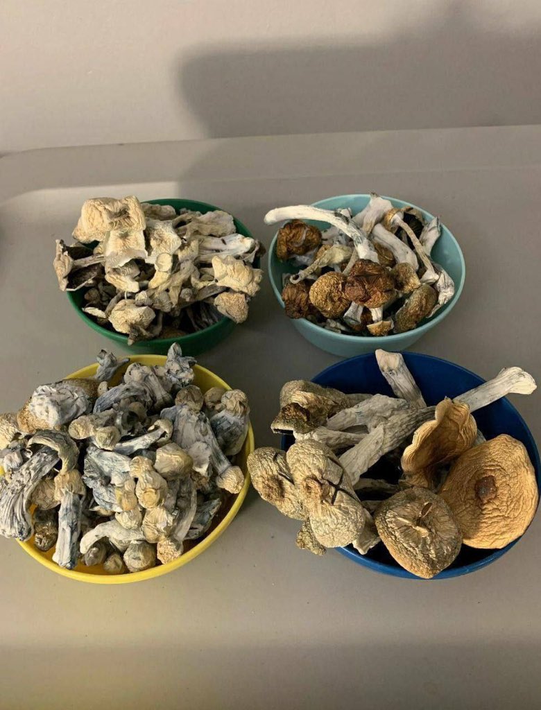 THOMOS DERICK tweet media