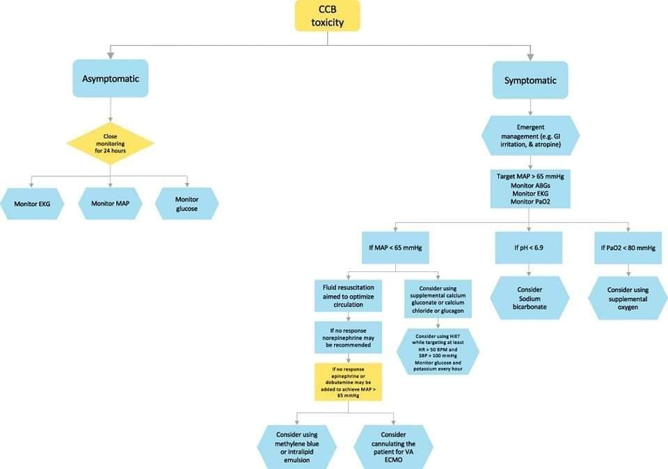 🔴 Calcium Channel Blocker Toxicity: A Practical Approach. 

ncbi.nlm.nih.gov/pmc/articles/P…
#cardiology #diagnosis #CardioTwitter #CardioEd #MedEd #medical #medtwitter #paramedic #cardiotwiteros #medtwitterWhat