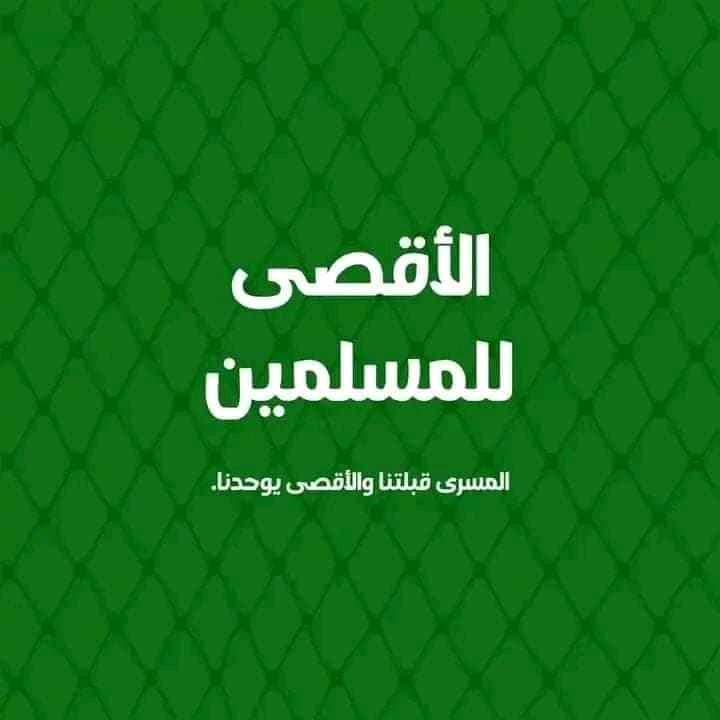 BassantSabry18's tweet photo. "لا نملك إلا الدعاء." ‼️

"ماذا نملك مع الدعاء؟" ✅
#مجزة_رفح
#قاطع https://t.co/bJa9ToTHMU