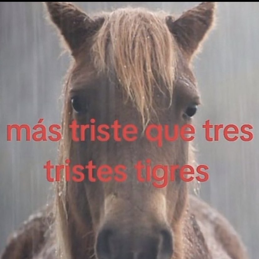 🌙 mini textos (@soyminitextos) on Twitter photo 