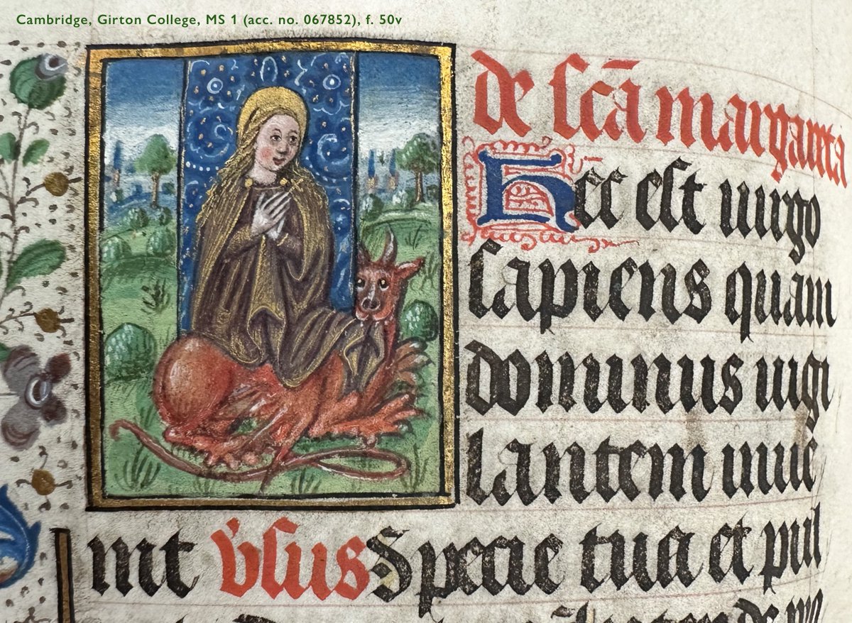 At @GirtonCollege, #SaintMargaret ’s #dragon has the sweetest little puppy-dog eyes you ever did see… 🥹 #MedievalManuscripts #Saints #MedievalAnimals #Critters #aww