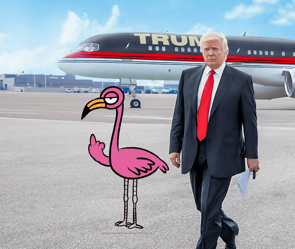 MINGOSolana's tweet image. need to check #MINGO :))
the cutest flamingo in the cyrpto space 🦩
#MINGO #Solana #SolanaMemeCoin