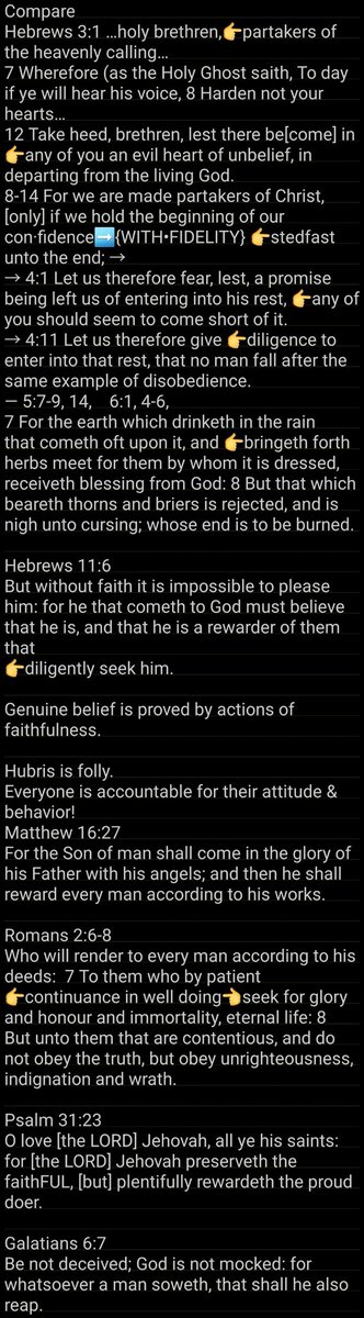 Zeek's Critique: Seeking Truth🔎 tweet media