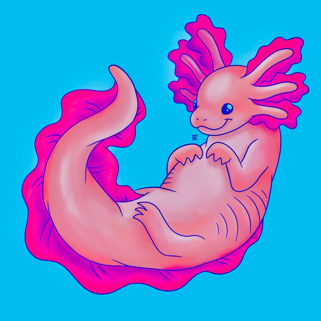 I wanna start using more neon colors in my style… hopefully that’s something I can slowly integrate

#axolotl #axolotls #drawing #drawings #doodle #doodles #sketch #cartoon #cartoonartist #cartoondrawing #digitalart #digitalartist #digitaldrawing #procreate #procreateart