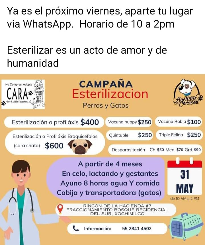 RT🙏 @FundacionToby @iztalccihuatl @MascotasSismo @RosarioPoncePe1 @AnimalesPerdid2 @ProyectoSixPack @Animales_CDMX @DefensaAnimal @PrrosPerdidosMX @RAFIFIU76 @_PatriciaAnaya @mamiblue2015 @TlalpanVecinos @mamiblue2015 @guerashome @EsEstra RT 🙏