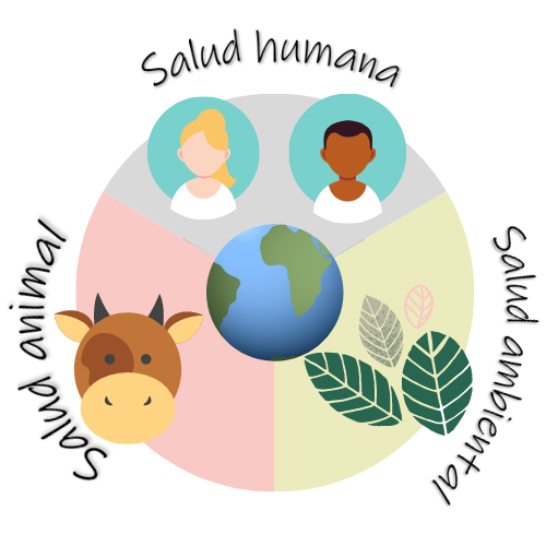 #27May | La práctica de “Una Salud” es fundamental para atender a humanos, animales y ecosistemas. Esta política sanitaria puede hacer frente a los múltiples virus que amenazan la vida de las especies del planeta. Infórmate➡️ tinyurl.com/3muchnf8 #LasCallesSonDelPueblo