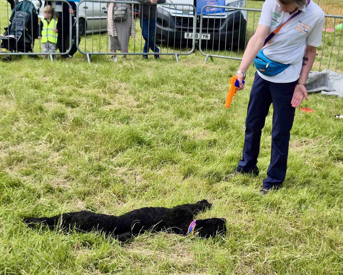 Day 2 of the Stonham Truck Show <a href="/jimmysfarm/">Jimmy Doherty</a> completed. Really enjoyed that. We don’t just do agility in our displays. Today’s photos show canine step aerobics, maths, emergency CPR &amp; some animal acting (the dog gets shot!) ❤️🐾🐾