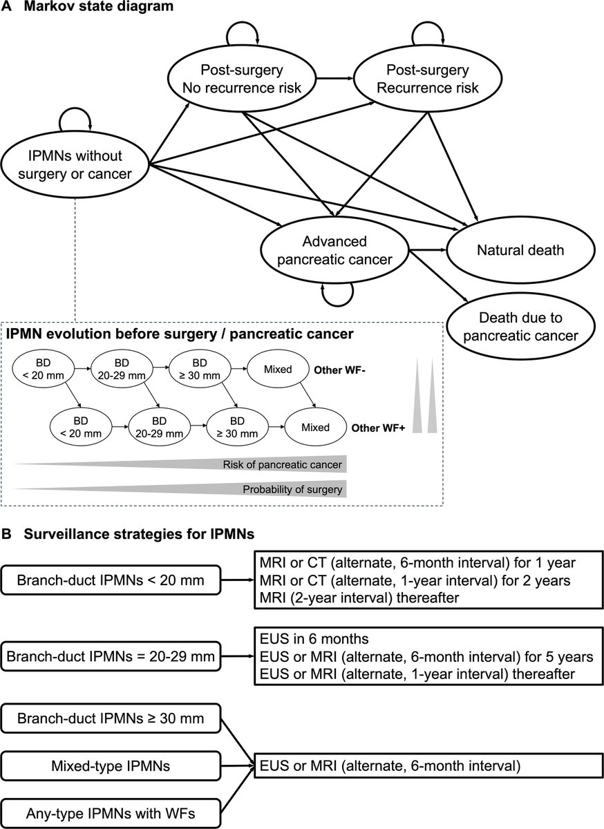 #GUTImage from the paper by Hamada et al on 

"Optimal age to discontinue long-term surveillance of intraductal papillary mucinous neoplasms: comparative cost-effectiveness of surveillance by age" via

bit.ly/3KejI7E

#IPMN