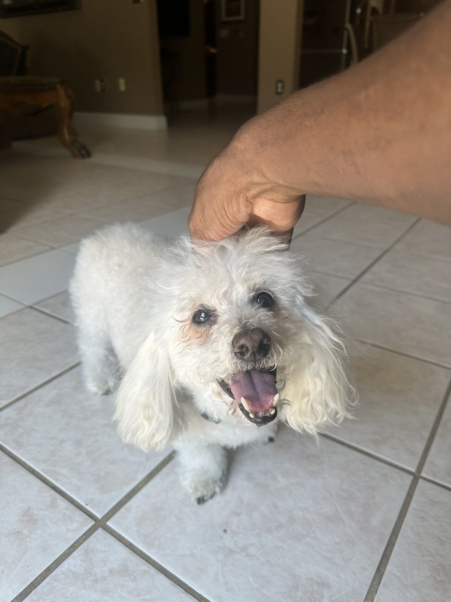 a sad little man tweet media