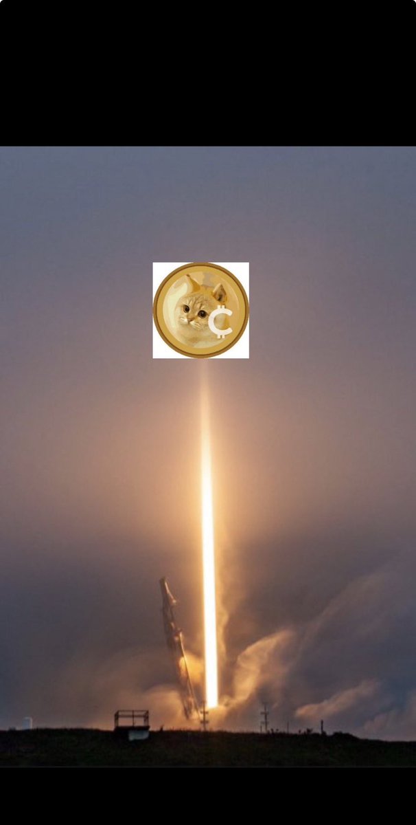 To the moon 
Catcoin 
Binance 
OKX 
KuCoin 
Bybit 
2024 /1000X