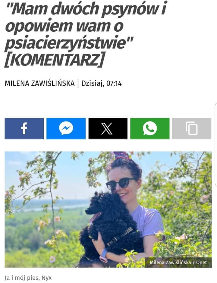 NZLysenki's tweet photo. Macierzyństwo to tylko spisek patriarchatu żeby trzymać kobiety za twarz.
Psiacierzyństwo to metafizyka, spotkanie z najwyższym 😂
#NaOddziale
#Psiecko
#Psyn
#Bezkidki https://t.co/ob8NDPIj9w