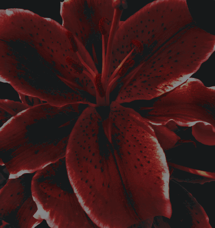 vendettapsds's tweet image. ⠀⠀                        
#HURTING,  a psd by vendetta.  credit if you use.
                 ⠀