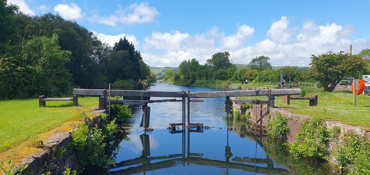 Suzie Fisher tweet media