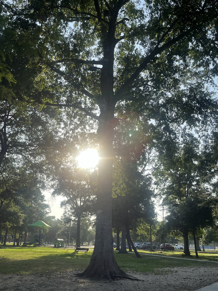 Nature at its best.  
No matter the stress, #nature always comes through to alleviate some of it.

Show me your pics #medtwitter #hapc of what helps you destress!

#grateful #GratitudeMatters #gratitude 
#growthmindset