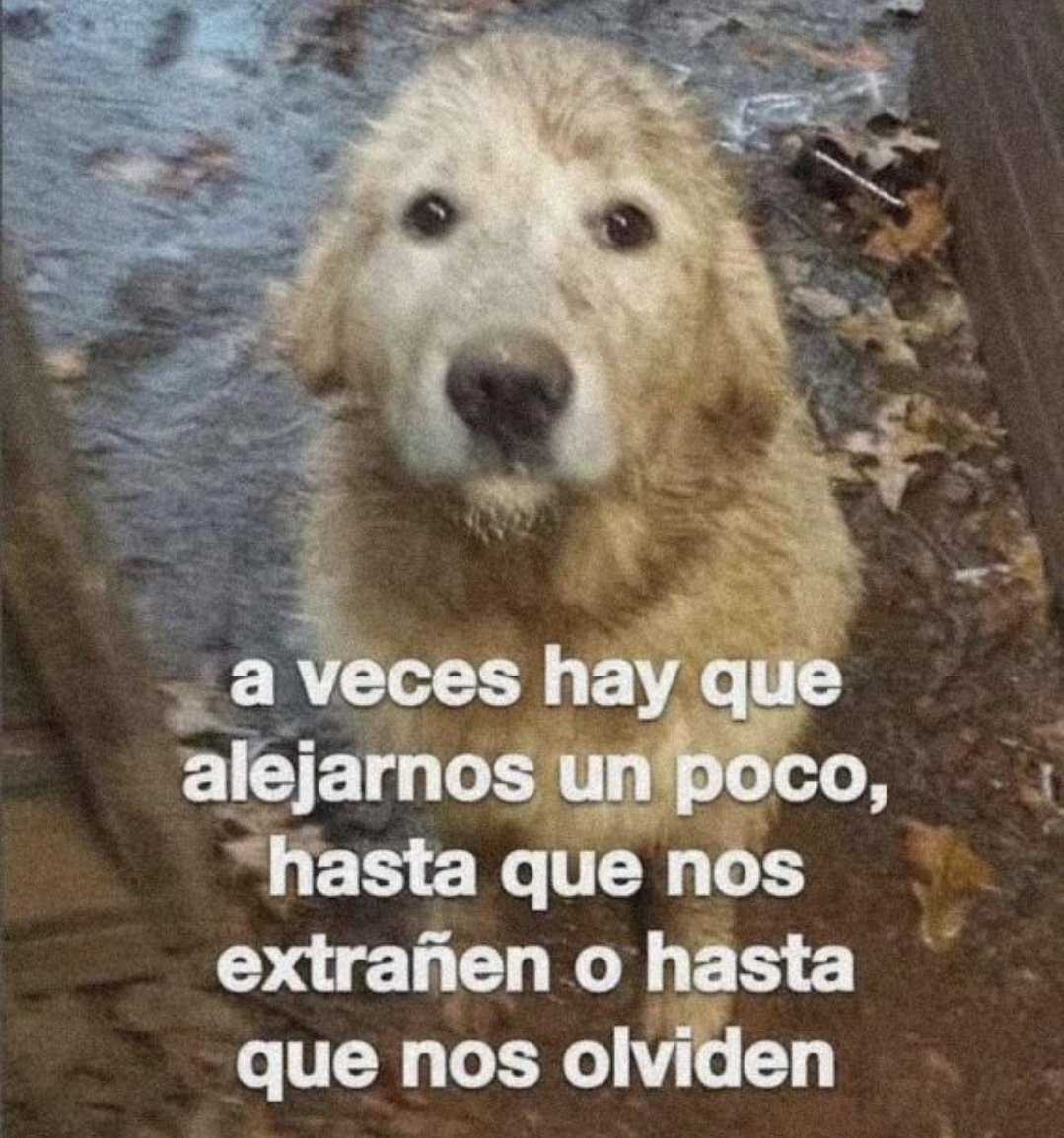 En Júpiter (@en_jupiter_) on Twitter photo 