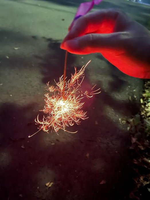 NISSHINBO_PR's tweet image. おはようゴマフアザラシ🦭💭

本日は #花火の日 🎇✨
ちなみにX担は線香花火ガチ勢です。
あらゆる風という風から守り抜きます…

今年も花火をしたり、見たりしたいものですね。