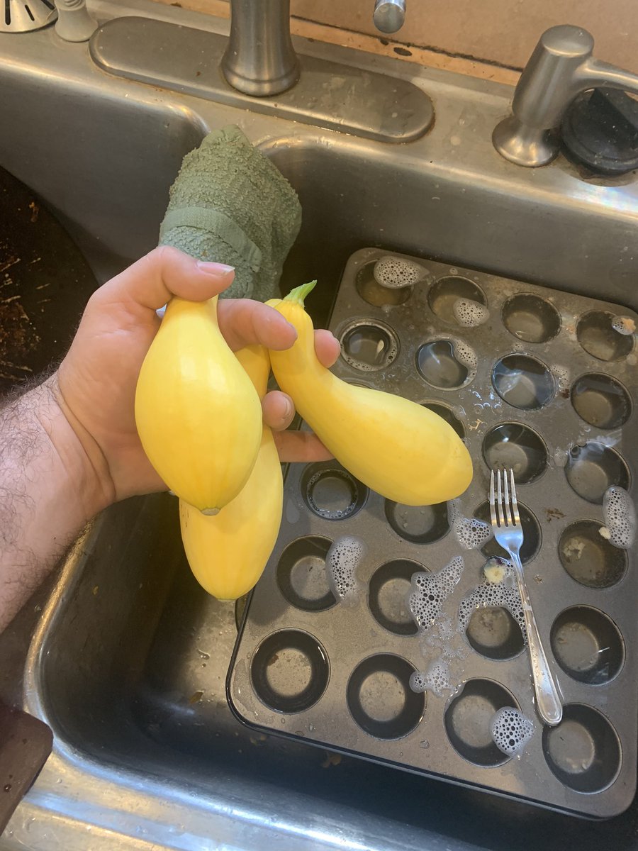 PJmountexplorer's tweet image. First three yellow squash of the year.
