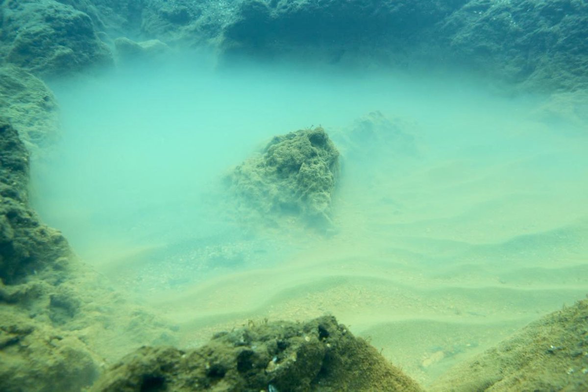 Dr Lars-Eric Heimbürger-Boavida tweet media