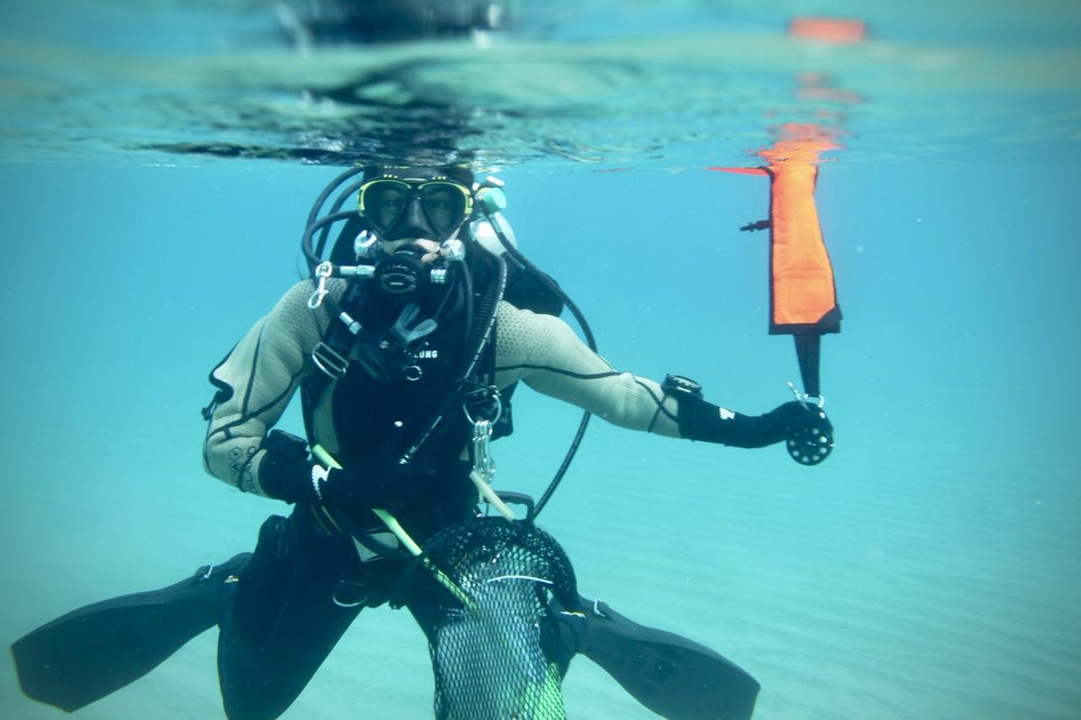 Dr Lars-Eric Heimbürger-Boavida tweet media