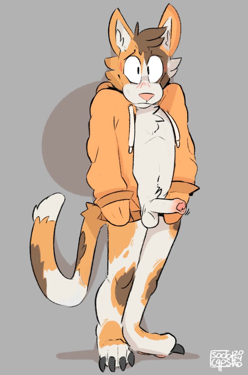 CapsSoda's tweet photo. Shy kitty https://t.co/I2KX6DFNmr