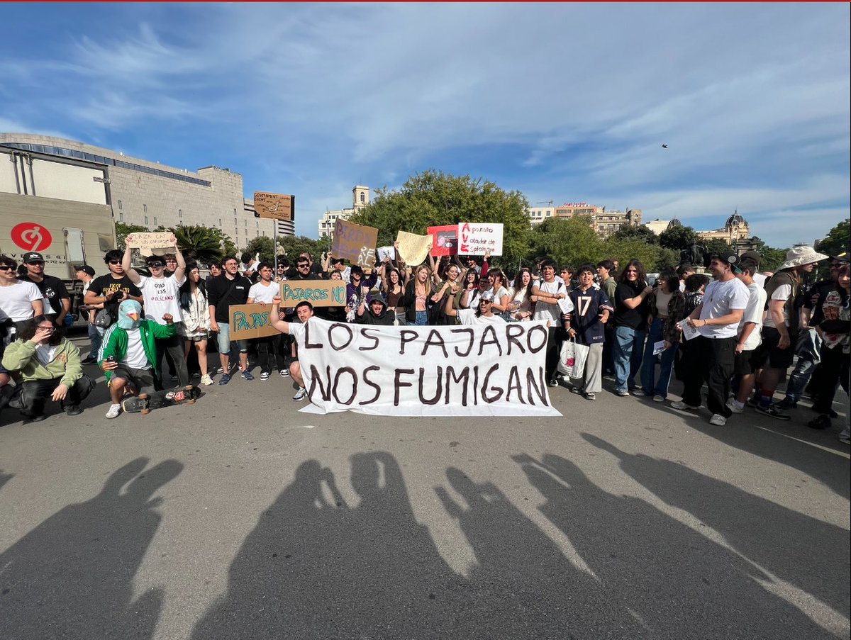 🦜 En Barcelona creen que los pájaros no existen y han marchado para demostrarlo👉link.culturacolectiva.com/vyi

Muy primer mundo..... pero esto no pasa en Latam. 😅🤣😂