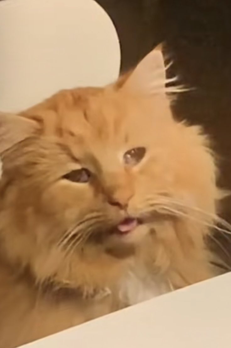 Me when you when me…