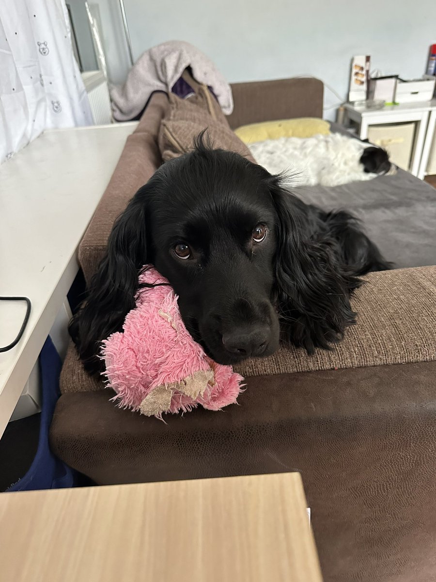 Could you say no to this face??? He always brings me his pig when he wants a snack