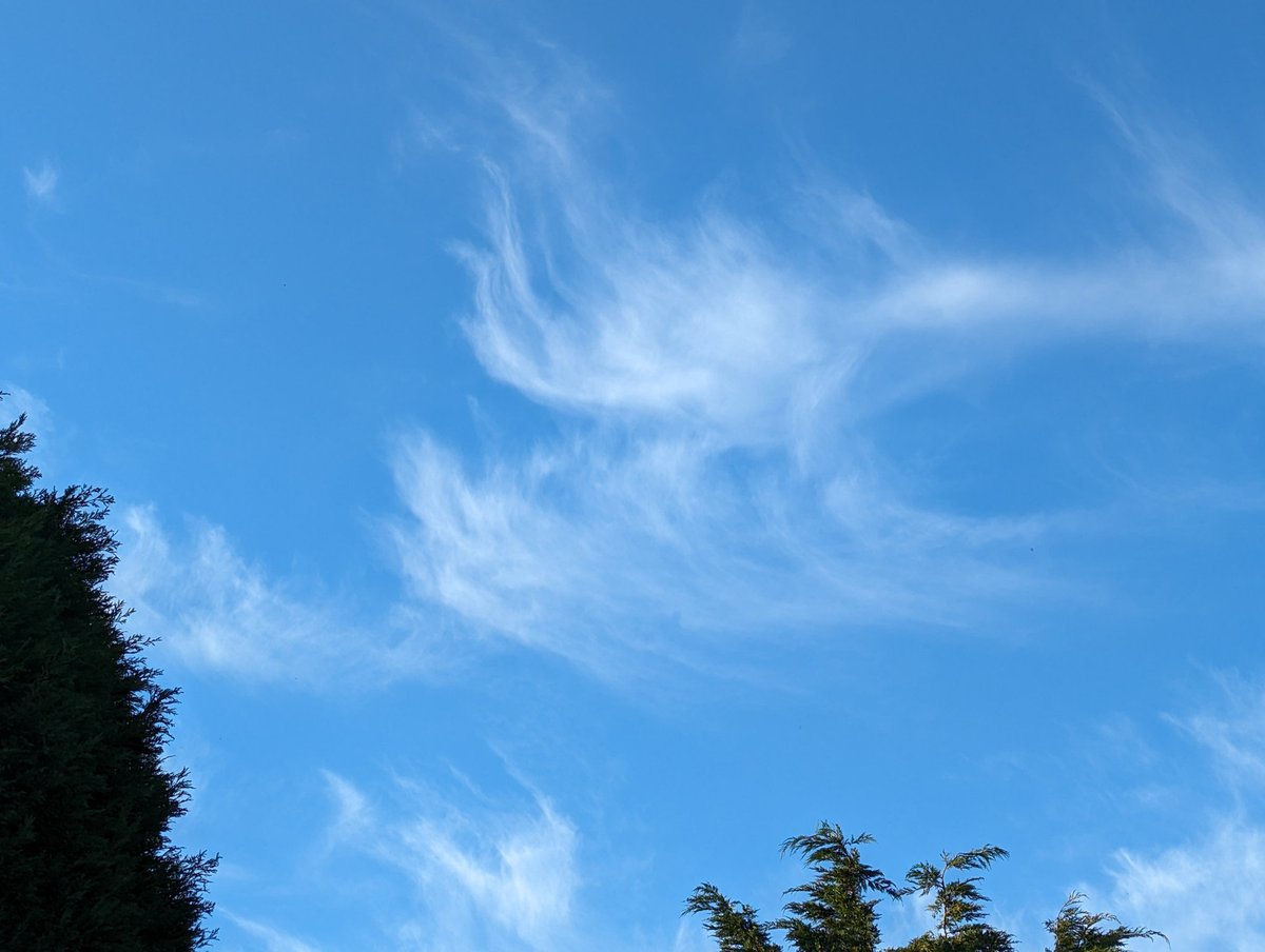 Stephen_Page's tweet photo. Angels in the sky tonight after some rough weather today
#cloudporn
#weatherpic
#angels
#eastyorkshire
#bridlington
@StormHourMark
@ThePhotoHour https://t.co/a6OdjojUWe