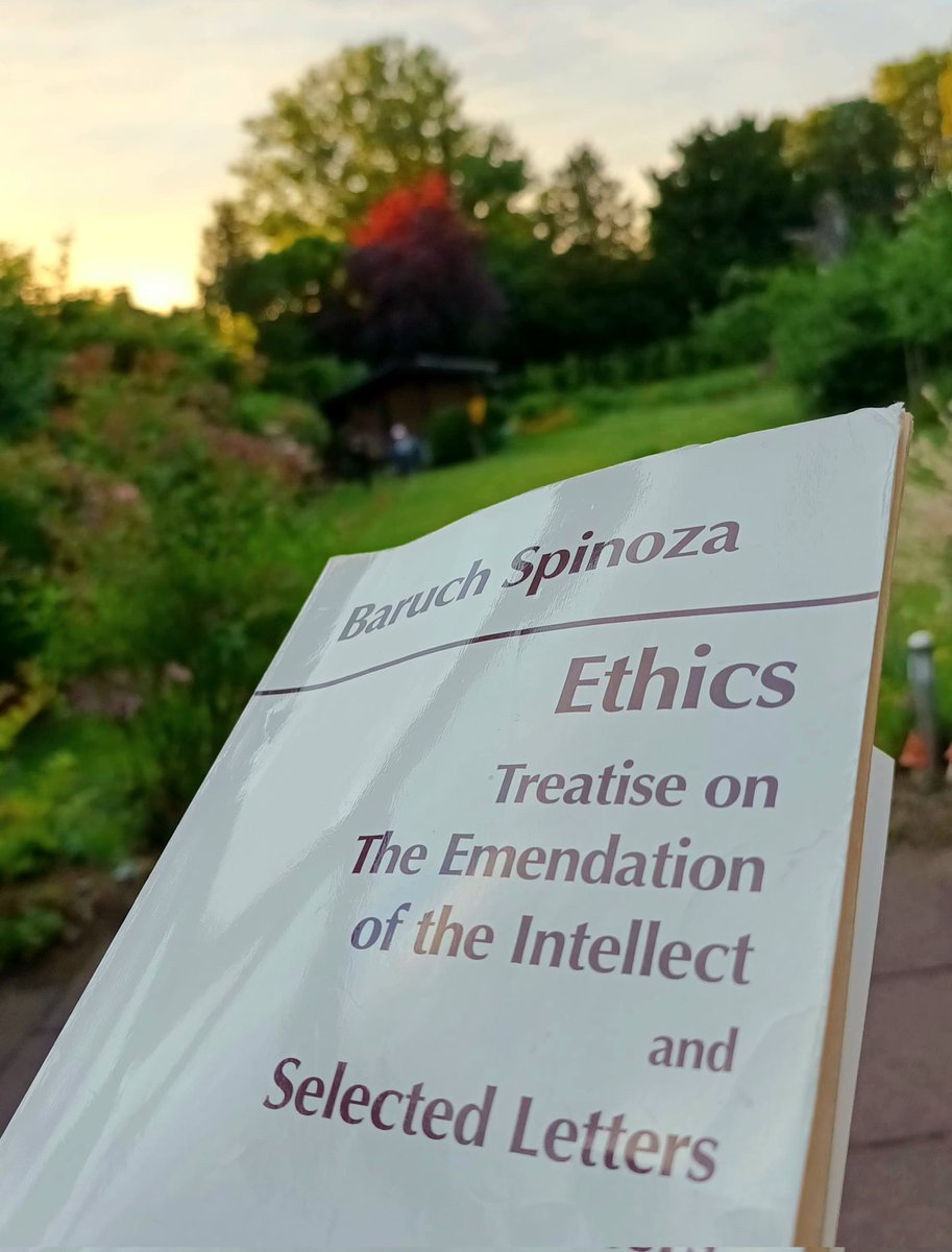 I always return to reading Spinoza's Ethics – there are always new connections to be fathomed, or new aspects to be drawn out. Rich.