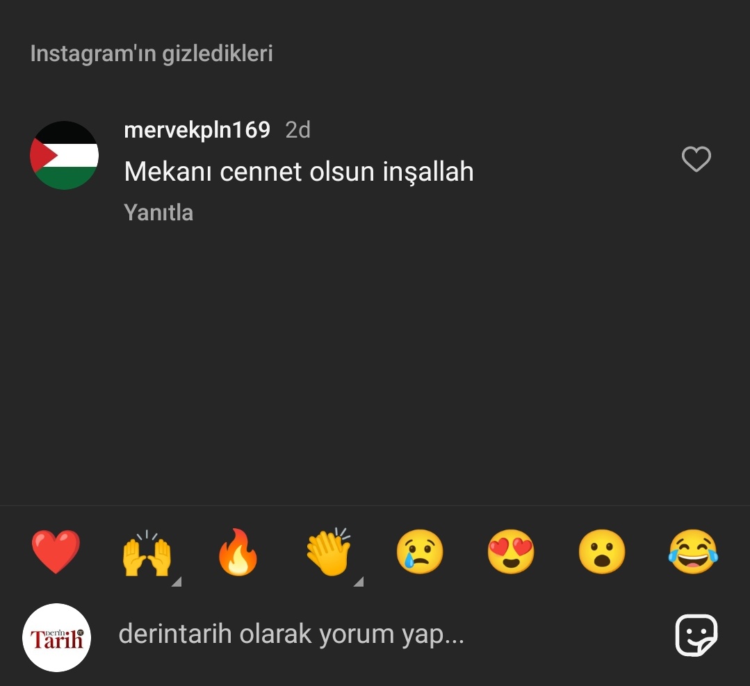 Instagram'ın gizledikleri: Profilinde Filistin bayrağı olan hesaplar. ÖZGÜR FİLİSTİN 🇵🇸🇵🇸🇵🇸